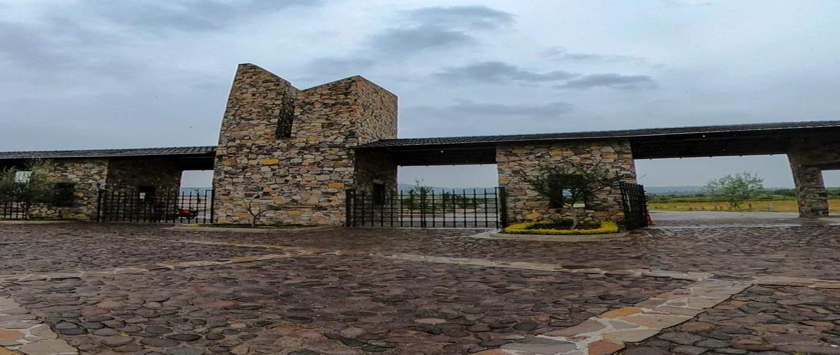 Foto de terreno habitacional en venta en  , número 27 [granja reproductora], comonfort, guanajuato, 25610841 No. 03